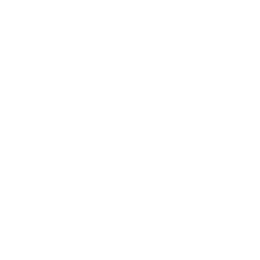 Catalino Law Logo favicon white